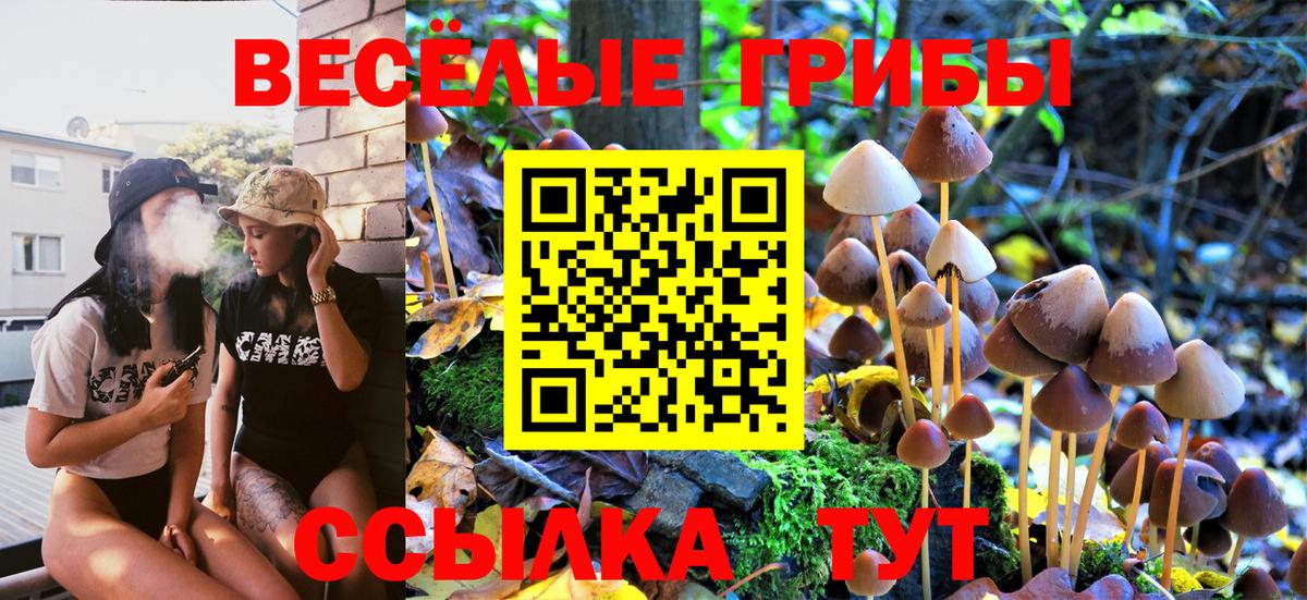 Псилоцибиновые грибы Magic Shrooms  магазин продажи   Топки  Вход с VPN 